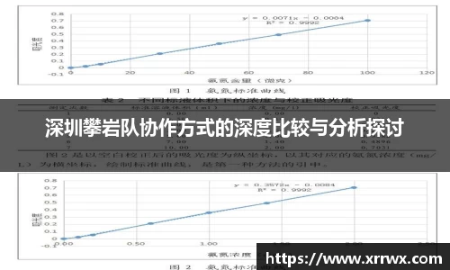 深圳攀岩队协作方式的深度比较与分析探讨